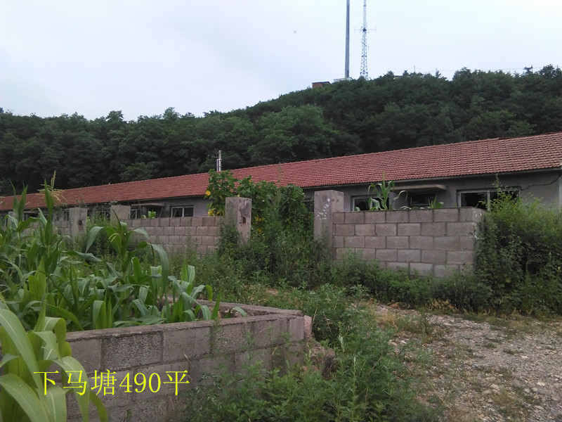 6̖  Ϸ҅^(q)R(zhn)̼Ҵ巿a(chn)