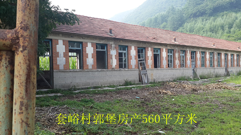 15̖(ho)  ϪMοhСW(xu)У