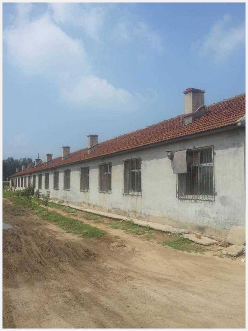 86̖ Ж|(zhn)|Ĵ巿a(chn)ʹÙ(qun)