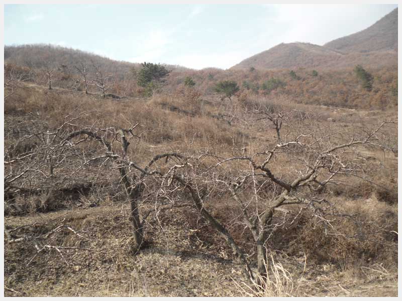 21̖(ho) RL(fng)(zhn)ʯ֙(qun)