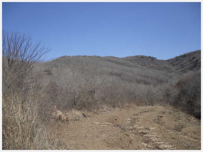 27̖ ë(zhn)ë֙(qun)