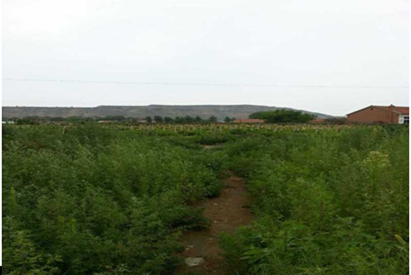 31̖ ɽǧɽ^(q)Ƽҷ(zhn)WCʹÙ(qun)